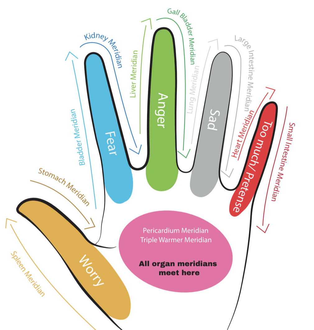 Organ Function Energy